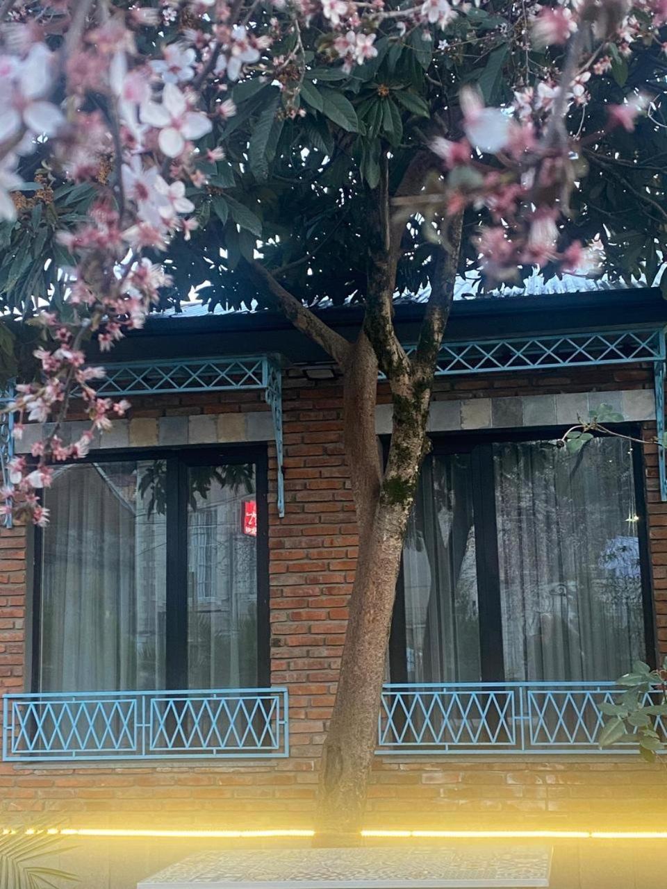 Hotel Varla 库塔伊西 外观 照片